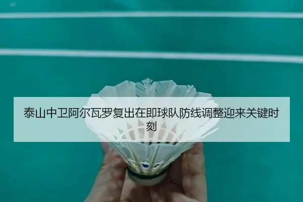 泰山中卫阿尔瓦罗复出在即球队防线调整迎来关键时刻
